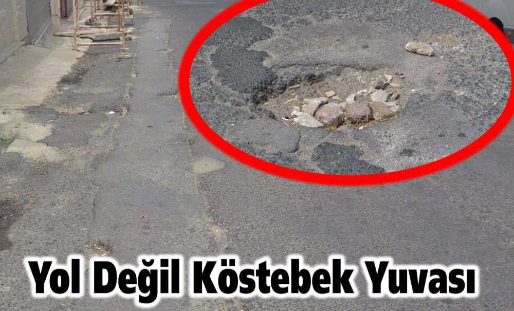 Yol Değil Köstebek Yuvası