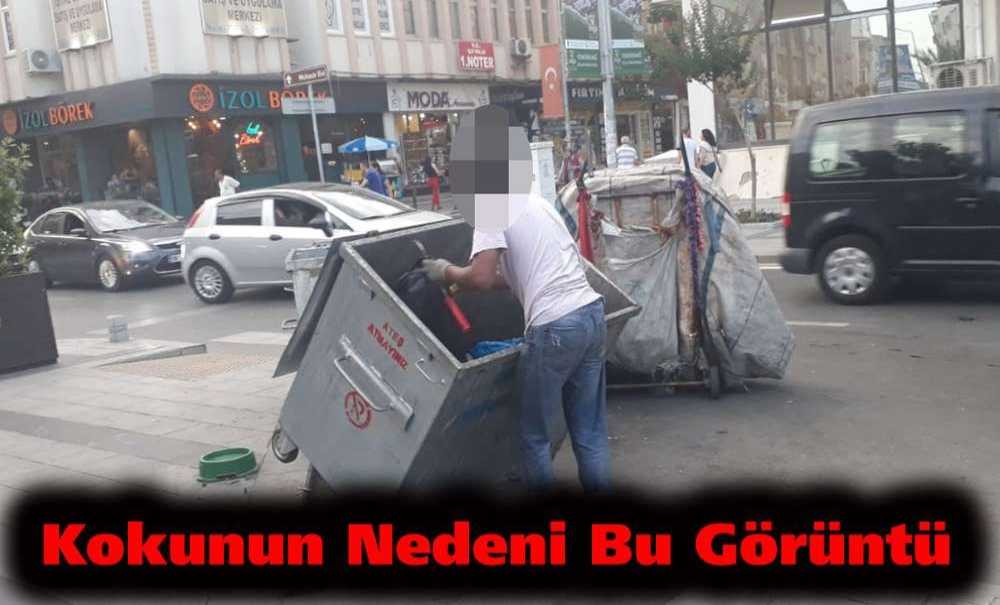 Kokunun Nedeni Bu Görüntü