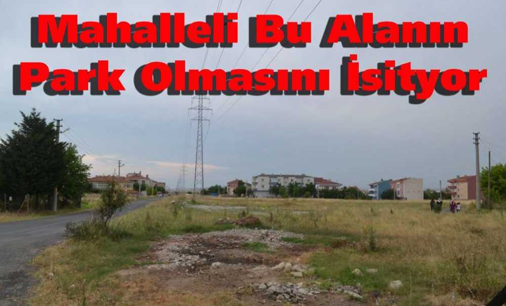 Mahalleli Bu Alanın Park Olmasını İsityor