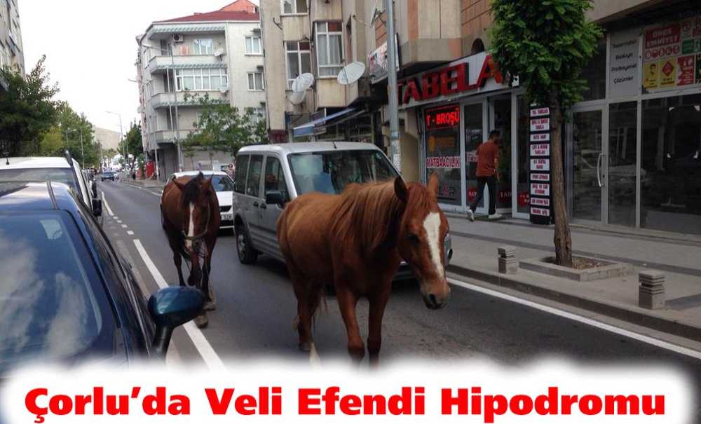Çorlu'da Veli Efendi Hipodromu