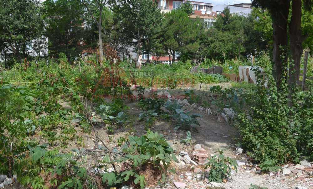 Vatandaşlar Yeşil Alanın, Park Yapılmasını İstedi