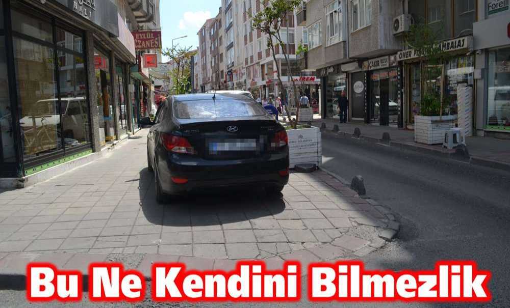 Bu Ne Kendini Bilmezlik