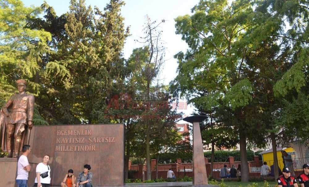 Onlarca Ağaç Neden Kurudu?