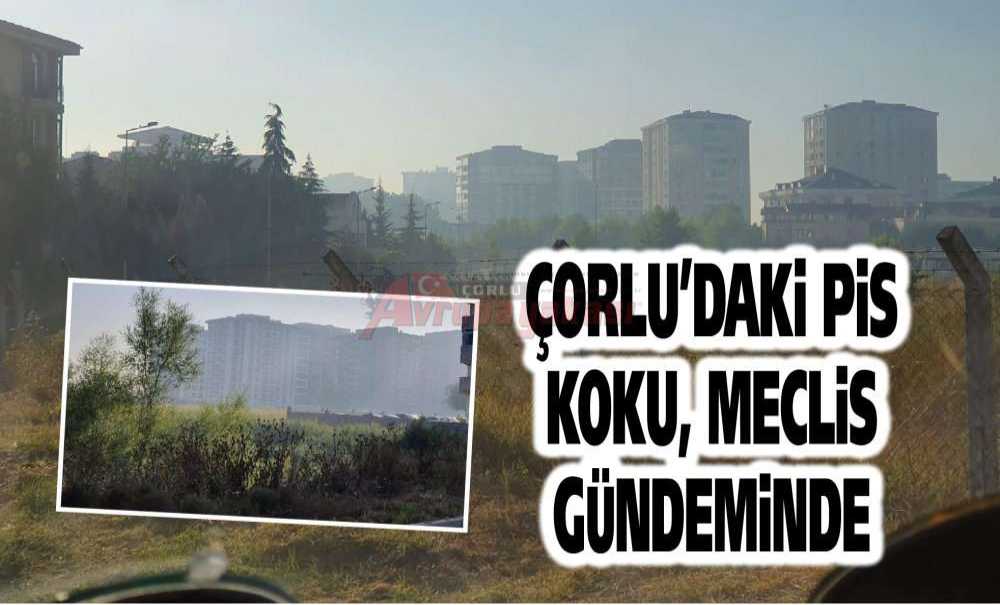 Çorlu'daki Pis Koku, Meclis Gündeminde