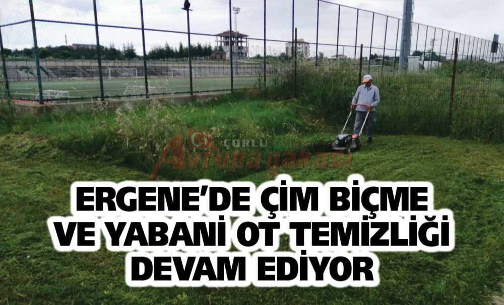 Ergene'de Çim Biçme Ve Yabani Ot Temizliği Devam Ediyor