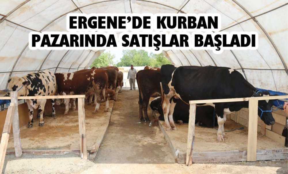 Ergene'de Kurban Pazarında Satışlar Başladı