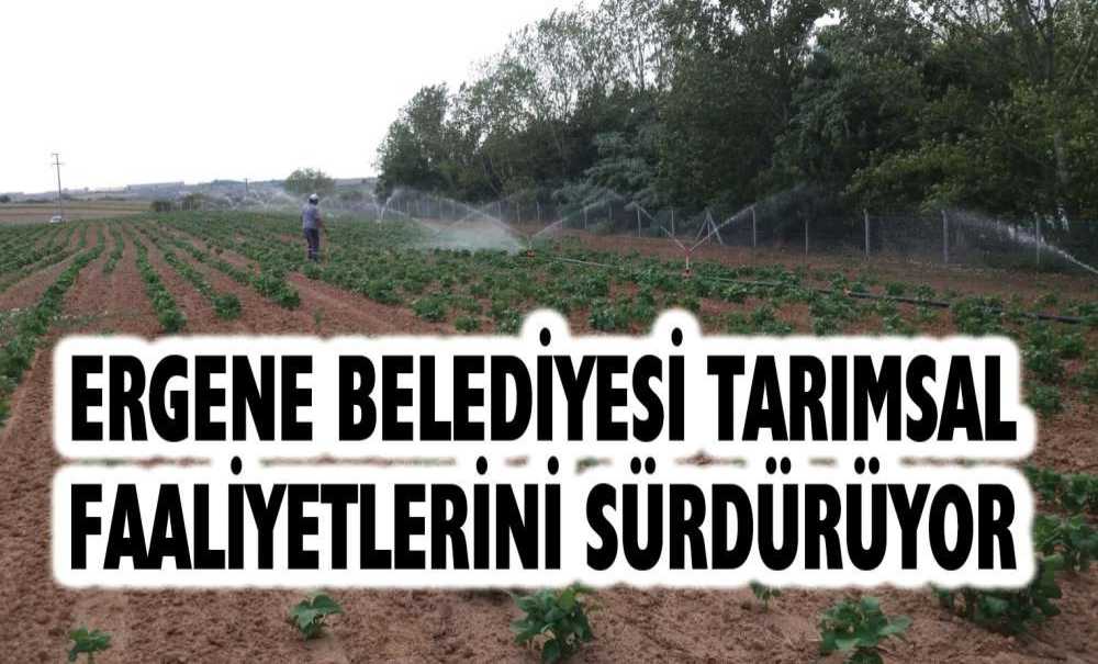 Ergene Belediyesi Tarımsal Faaliyetlerini Sürdürüyor