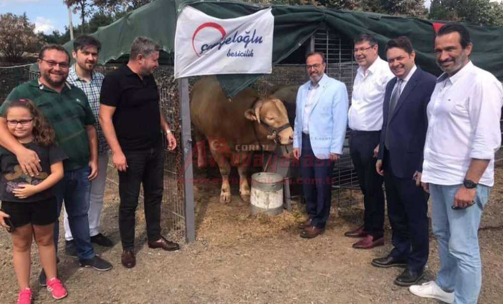 Mustafa Yel, Fuar Alanını Gezdi