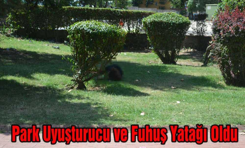Park Uyuşturucu Ve Fuhuş Yatağı Oldu