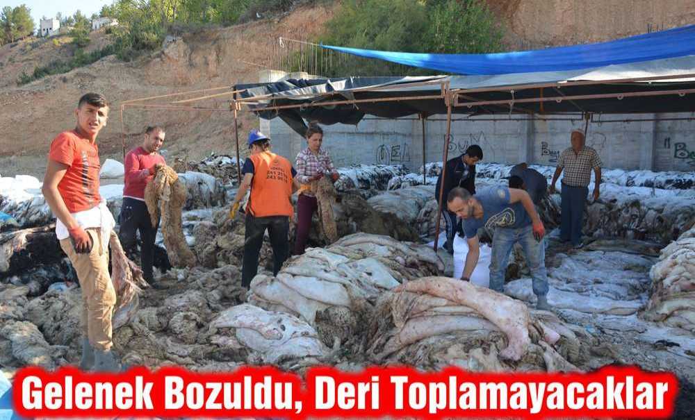 Gelenek Bozuldu, Deri Toplamayacaklar