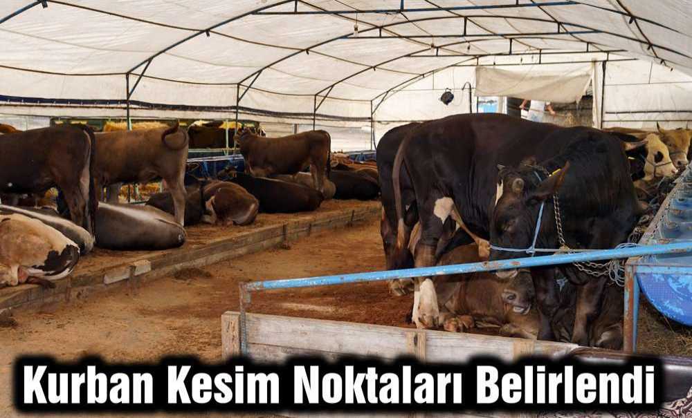 Kurban Kesim Noktaları Belirlendi