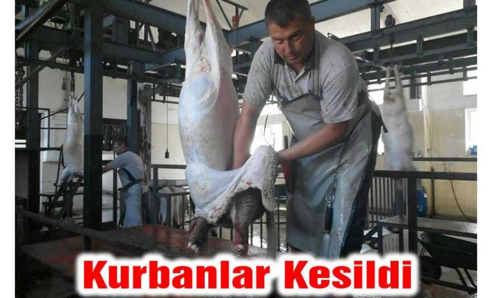 Kurbanlar Kesildi
