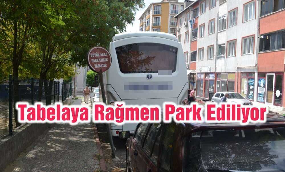 Tabelaya Rağmen Park Ediliyor