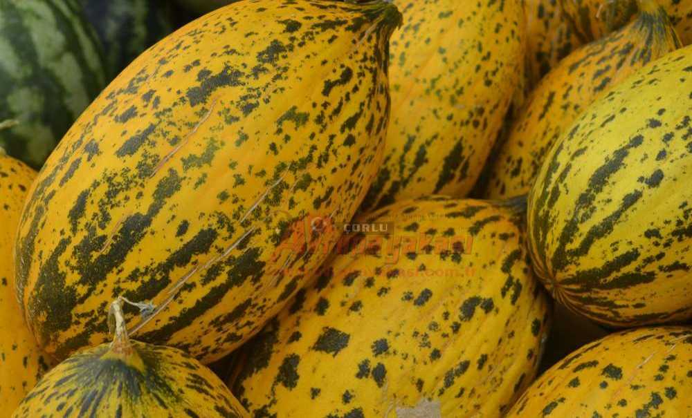 Yaz Mevsiminin Meyvesi Ağızları Tatlandırdı