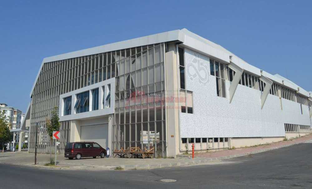 Sarıkurt Sözünü Tuttu