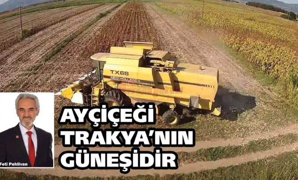 “Ayçiçeği Trakya'nın Güneşidir