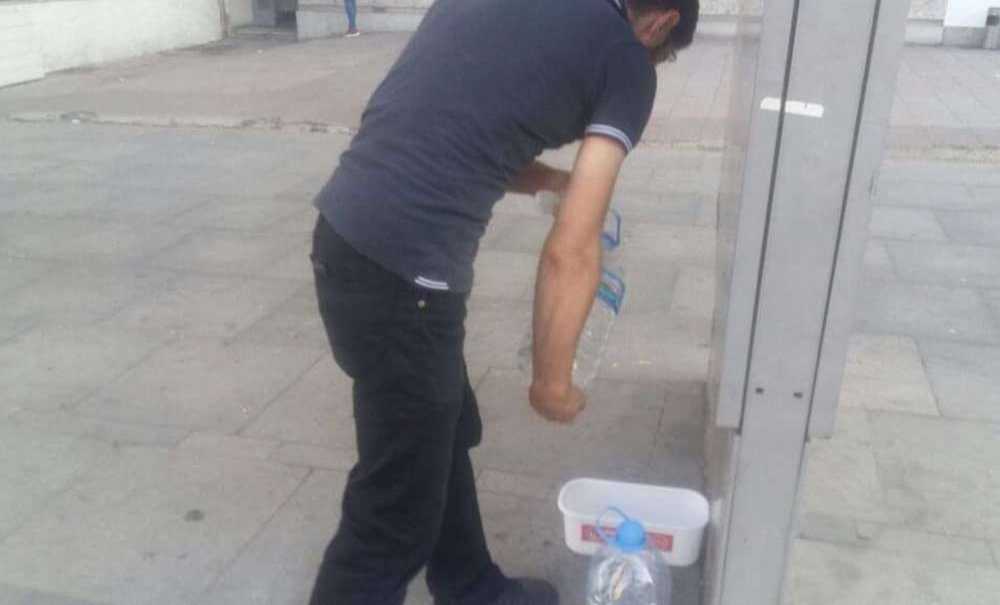 Saadet Partisi Sokak Hayvanlarına Sahip Çıktı