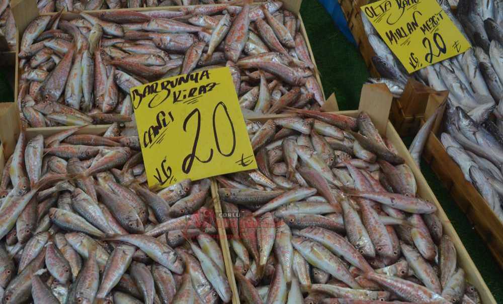 Balıkçılar Vira Bismillah Dedi