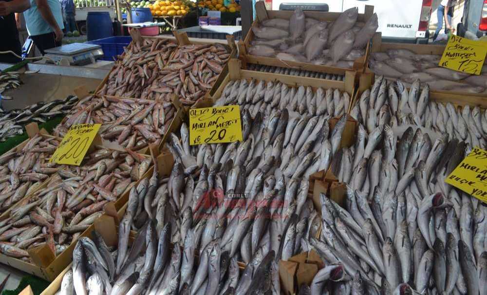 Balıkçılar Vira Bismillah Dedi