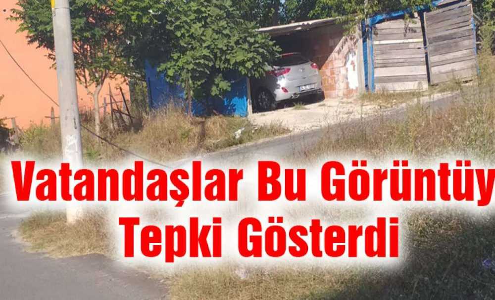 Vatandaşlar Bu Görüntüye Tepki Gösterdi