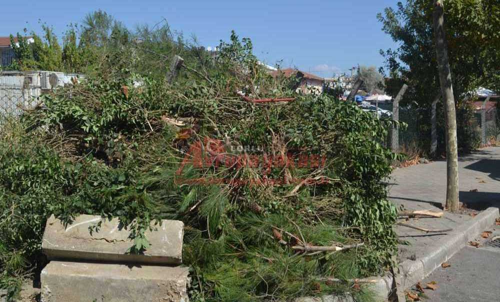 Kesip Kaldırıma Attılar