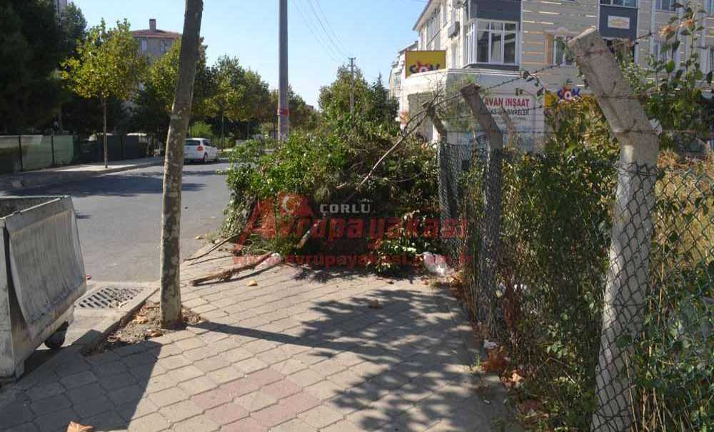 Kesip Kaldırıma Attılar