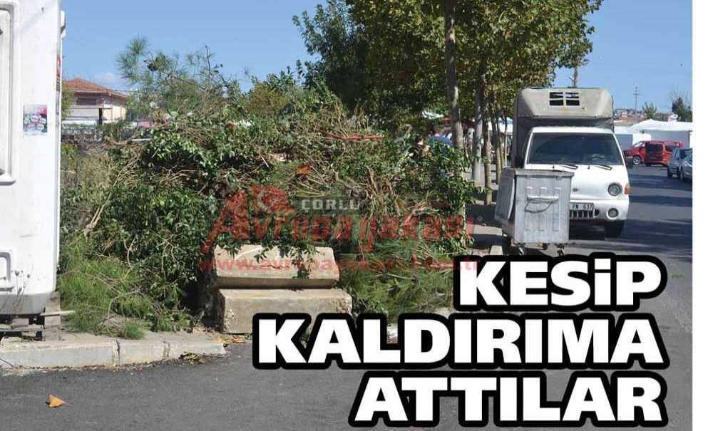 Kesip Kaldırıma Attılar