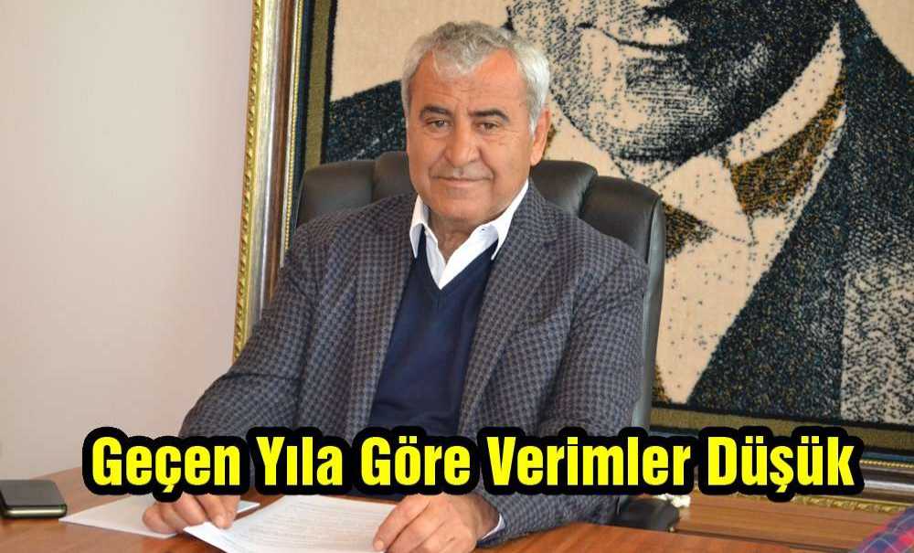 “Geçen Yıla Göre Verimler Düşük”