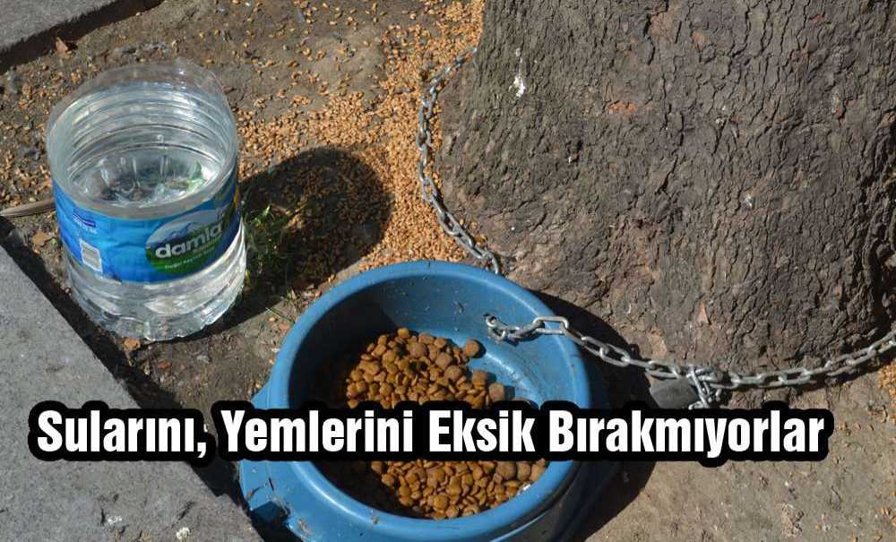 Sularını Yemlerini Eksik Bırakmıyorlar