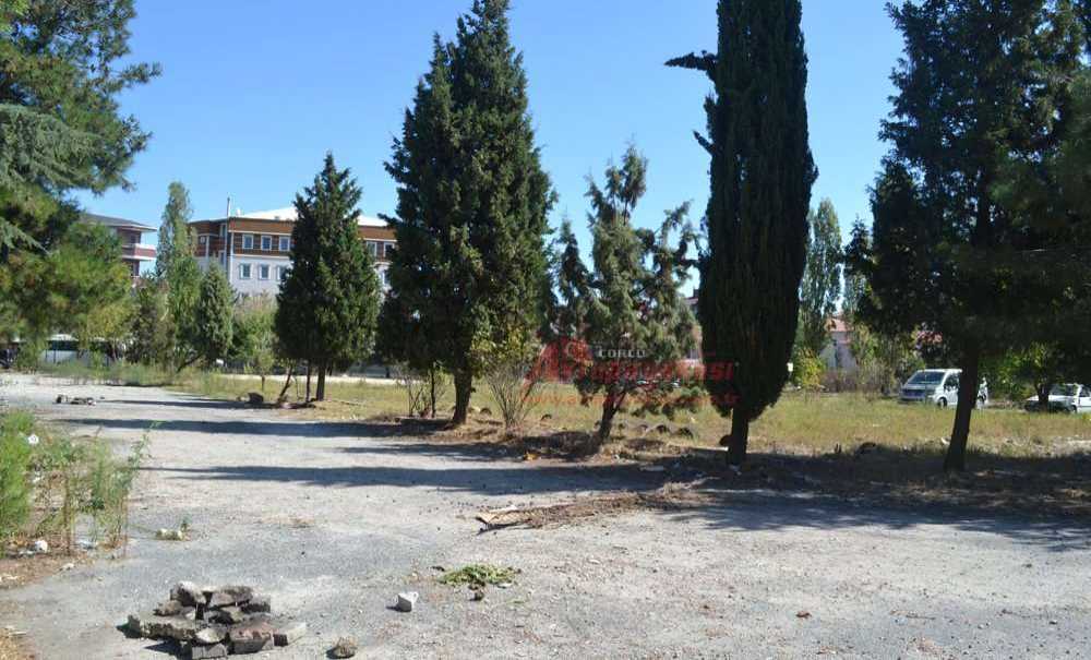 Yeşil Alanlara Neden Sahip Çıkılmıyor ?