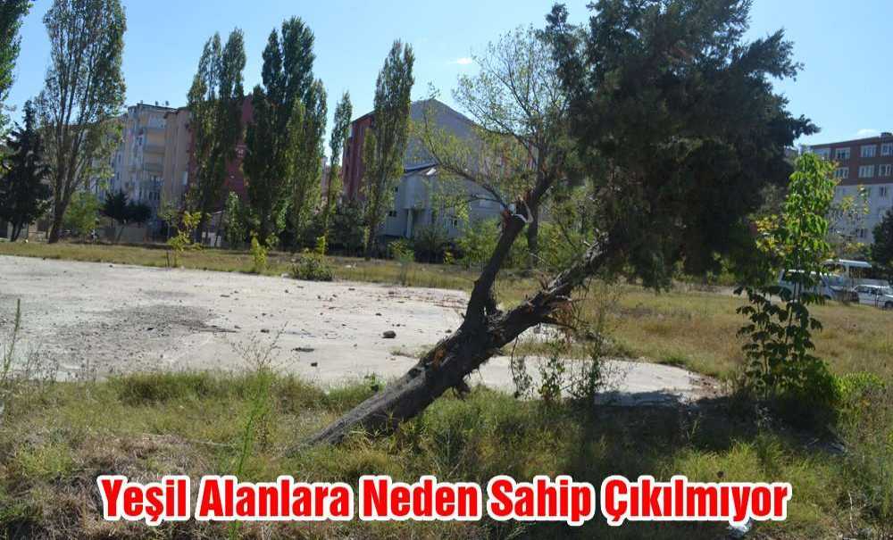 Yeşil Alanlara Neden Sahip Çıkılmıyor ?