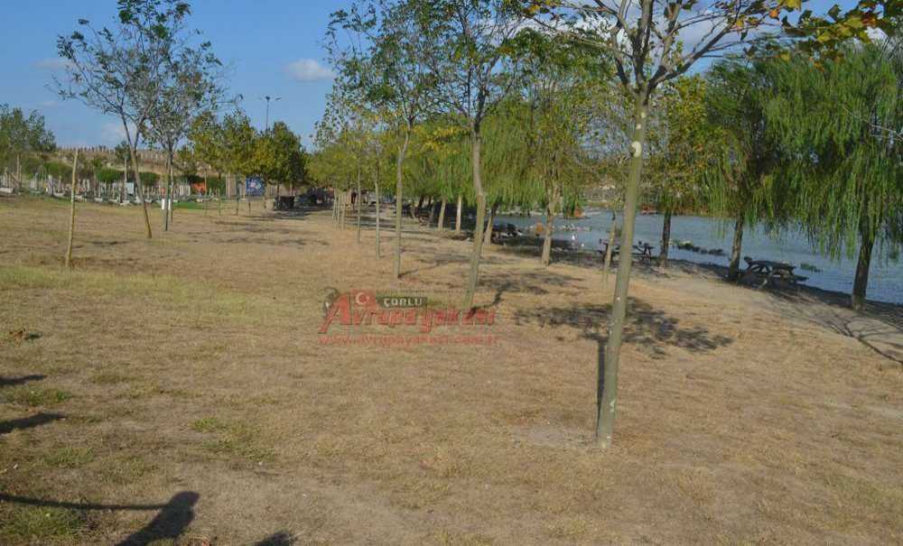 Vatandaşlar Gölbaşı Parkı'nın Bakımsızlığından Şikayetçi