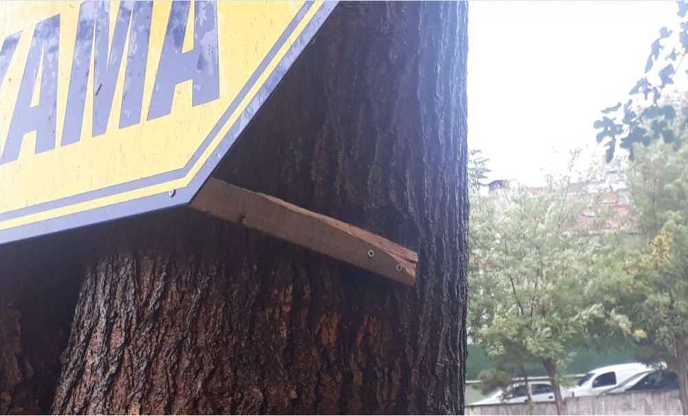 Ağaçlara Tabela Çakılmasına Neden İzin Veriliyor?