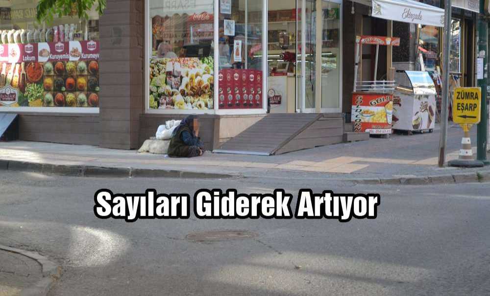 Sayıları Giderek Artıyor