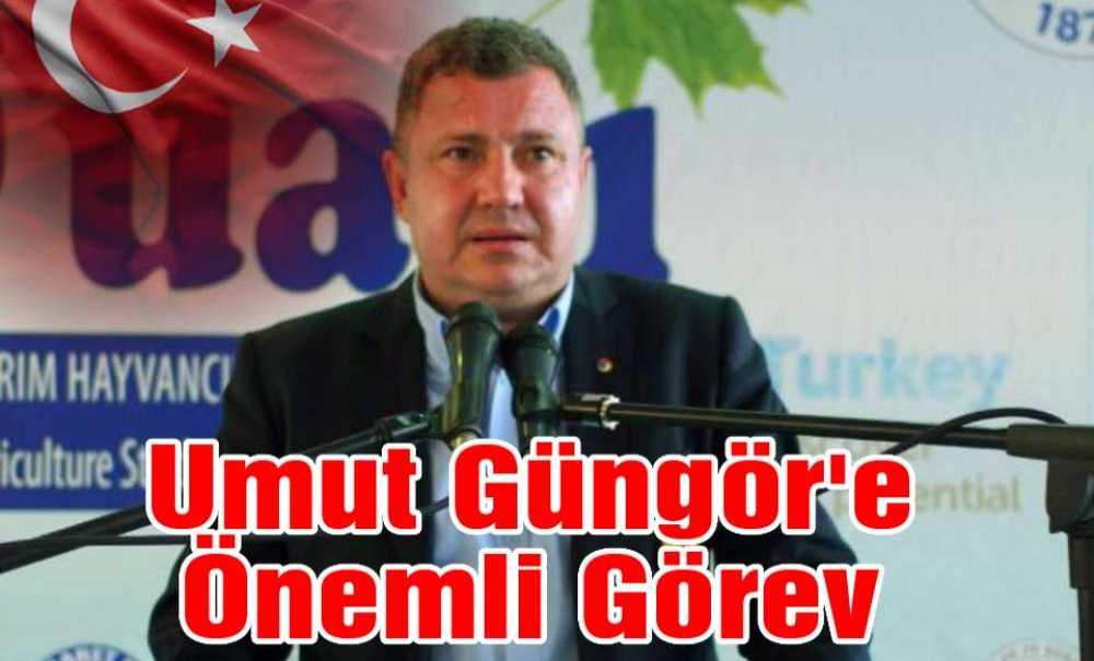 Umut Güngör'e Önemli Görev