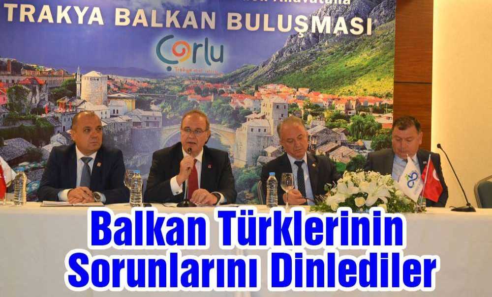 Balkan Türklerinin Sorunlarını Dinlediler