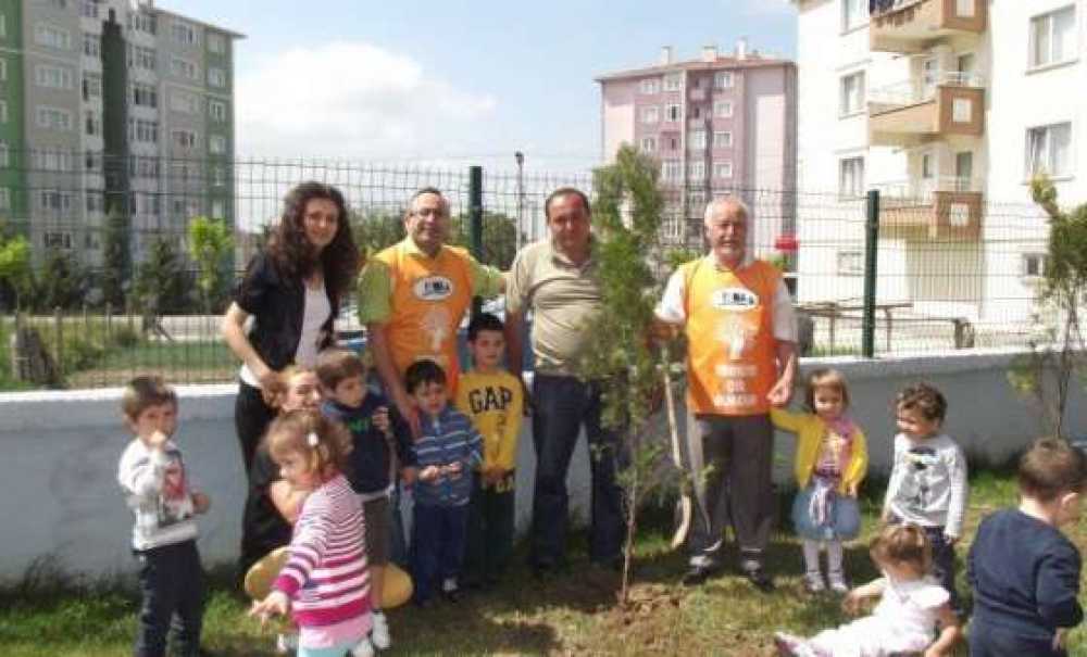 Küçük Şeyler Ağaçlarını Dikti