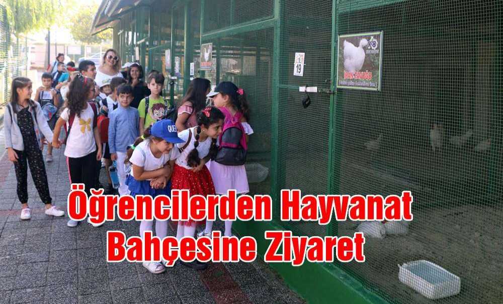 Öğrencilerden Hayvanat Bahçesine Ziyaret