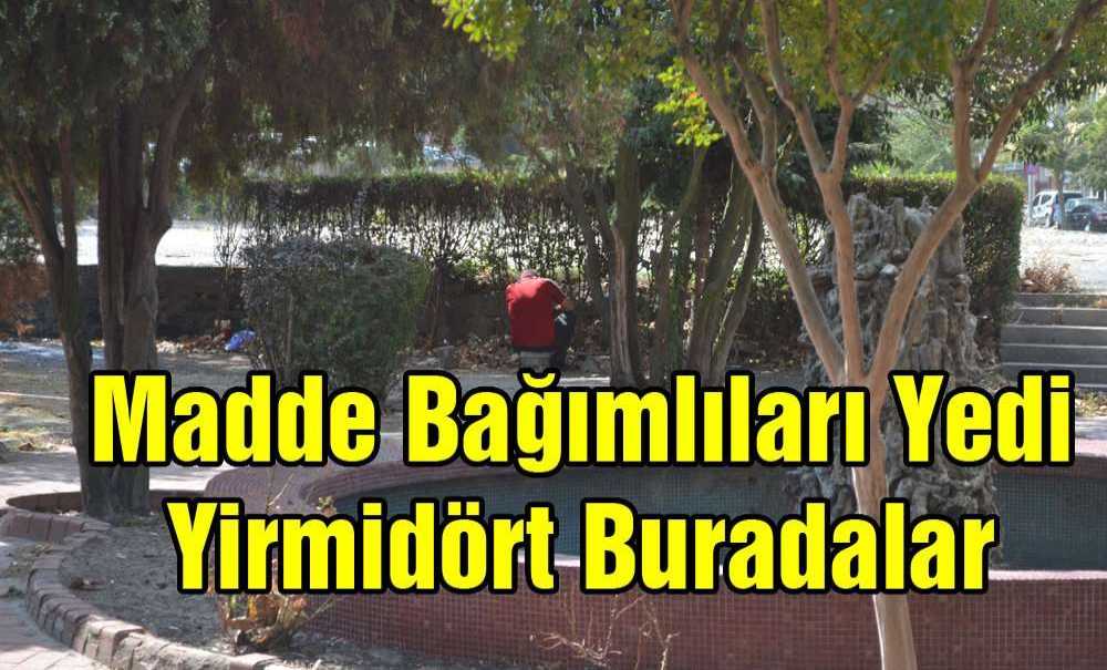 “Madde Bağımlıları Yedi Yirmi Dört Buradalar”