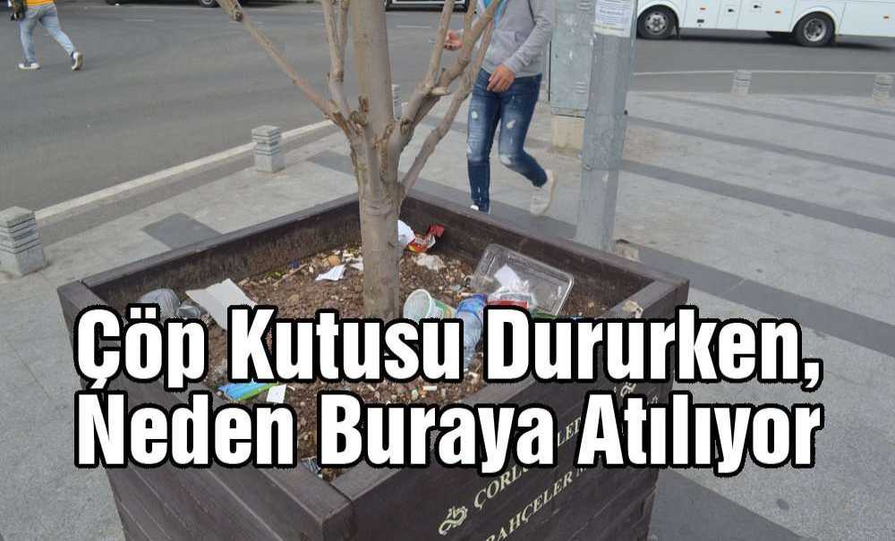 Çöp Kutusu Dururken, Neden Buraya Atılıyor?