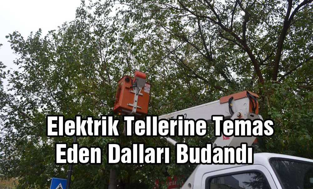 Tredaş Ekipleri Dalları Budadı
