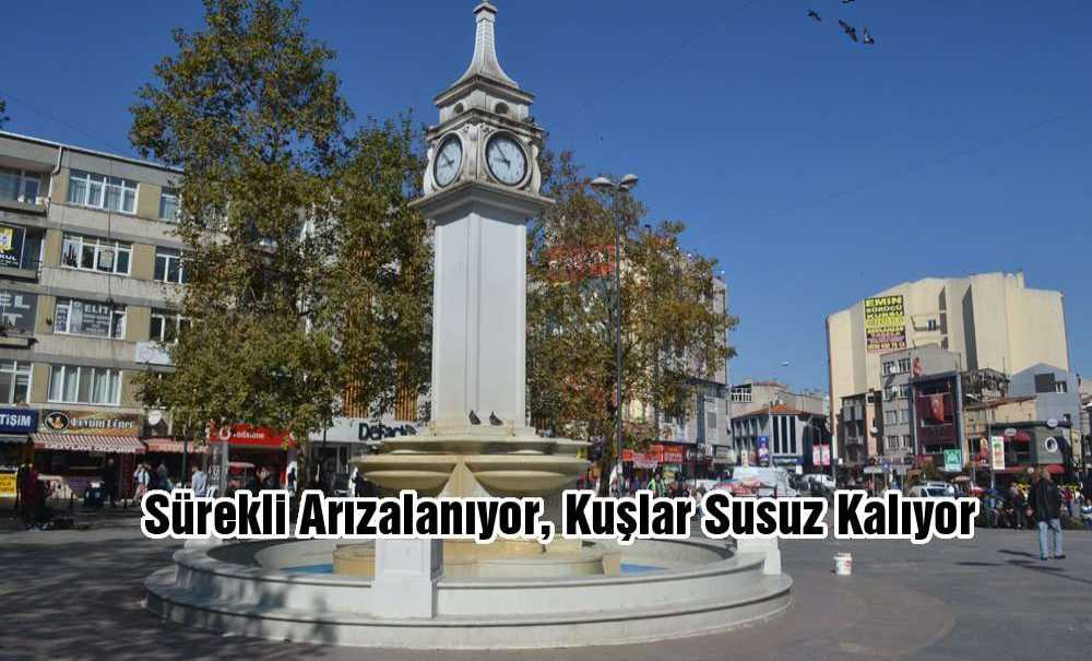 Sürekli Arızalanıyor, Kuşlar Susuz Kalıyor
