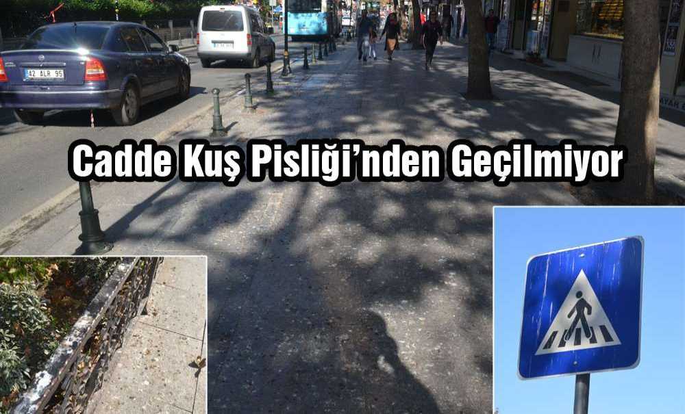 Cadde Kuş Pisliği'nden Geçilmiyor