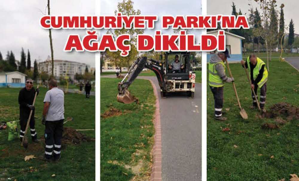 Cumhuriyet Parkı'na Ağaç Dikildi