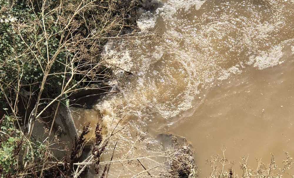 “Bir Sabahta Bu Derenin Başında Poz Versin”