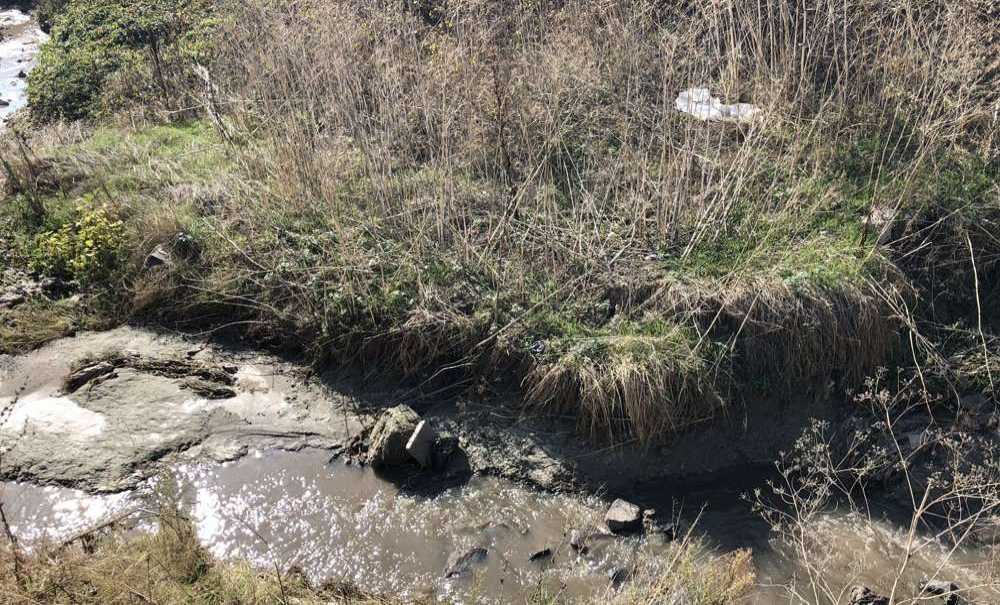 “Bir Sabahta Bu Derenin Başında Poz Versin”