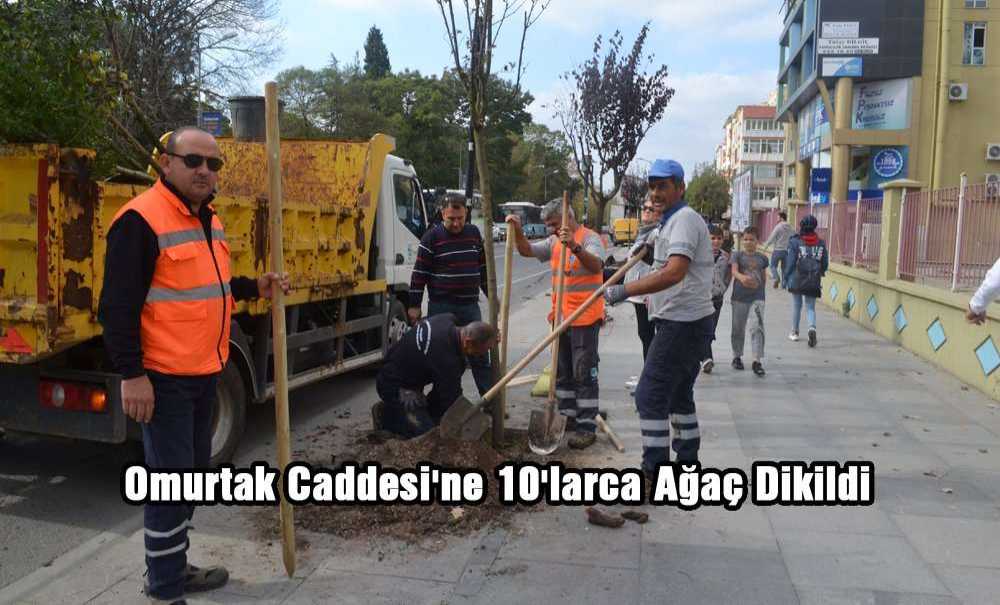 Omurtak Caddesi'ne 10'larca Ağaç Dikildi