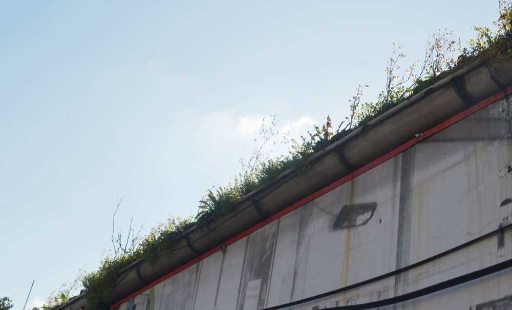 “Bu Harabeliğe Bir Son Verin”