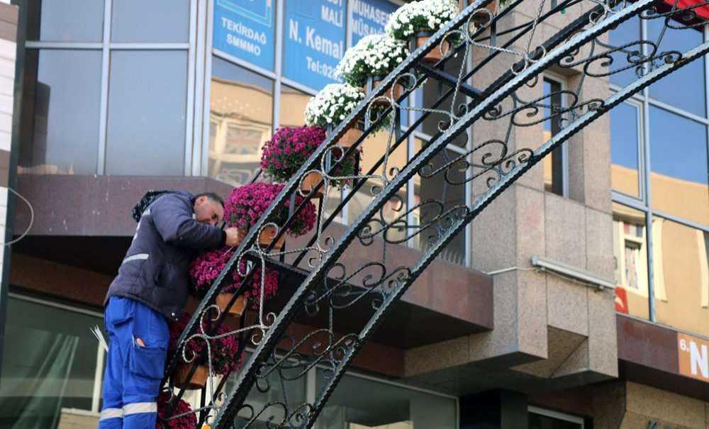 Çorlu'da Taklar Kasımpatılarla Süslendi