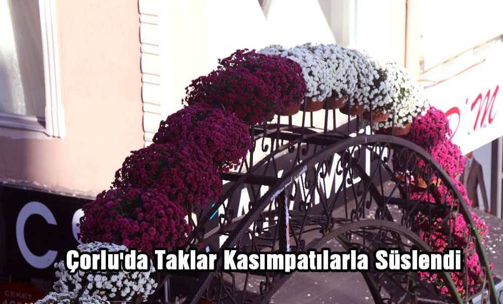 Çorlu'da Taklar Kasımpatılarla Süslendi